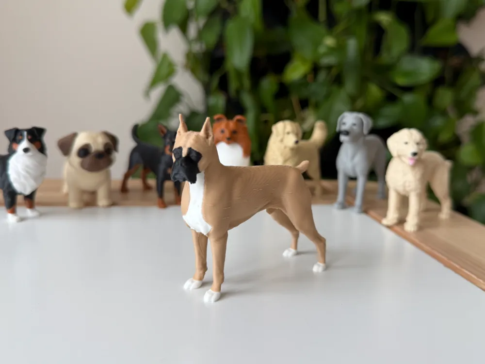 3D printed Boxer figurine with fawn body and white markings