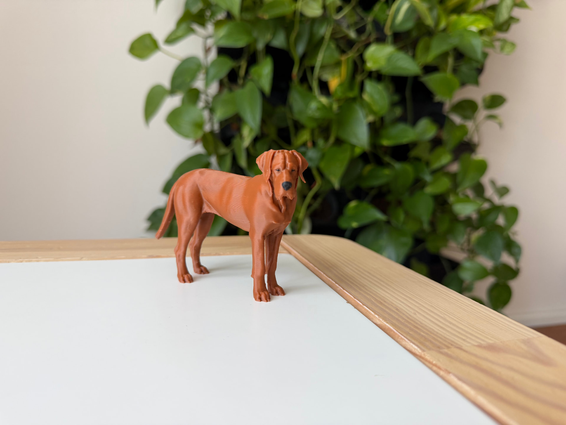 3D printed model of the same Tosa Inu in terracotta filament
